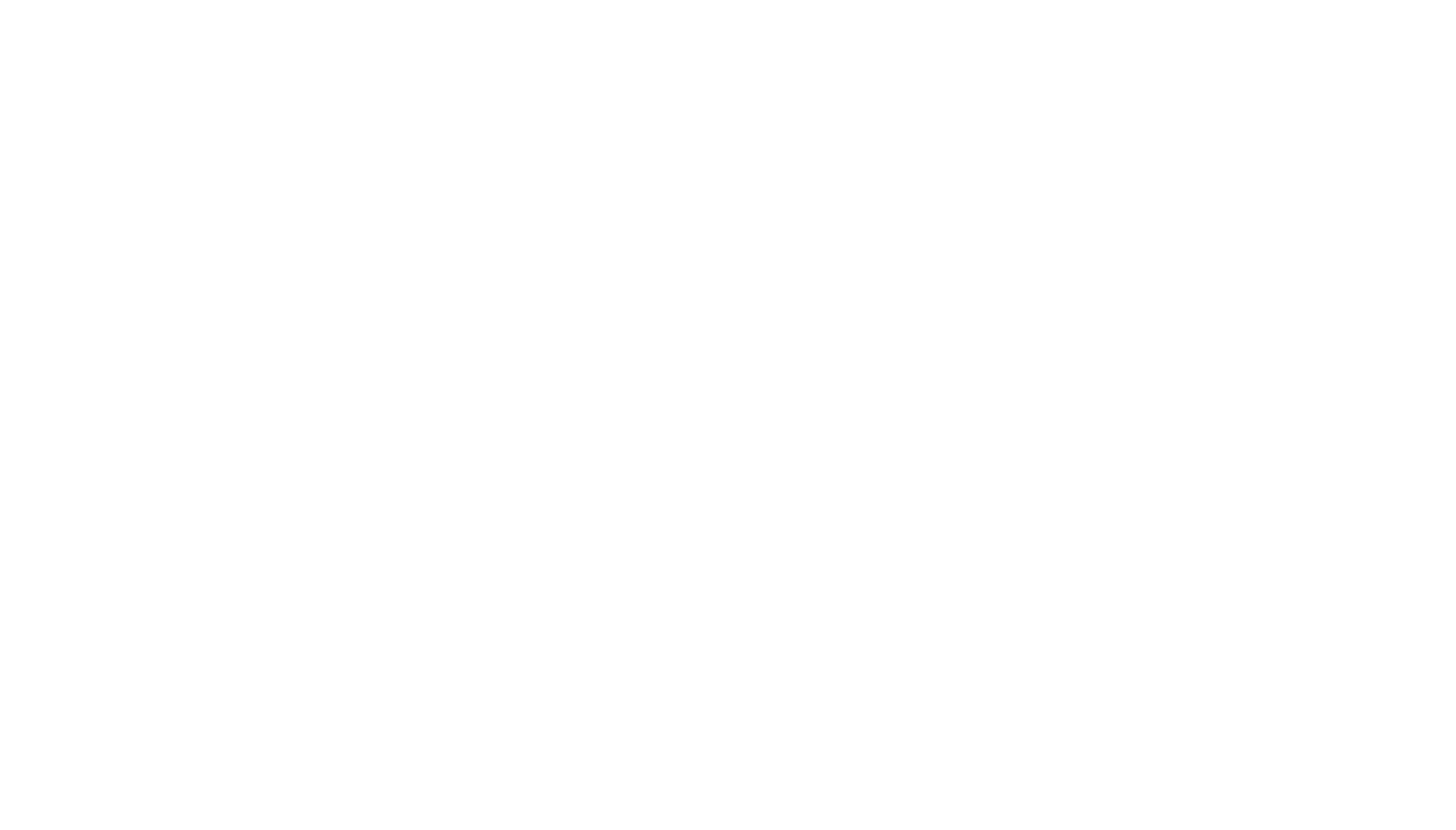 Sturmwacht 2026 - NPC Ticket